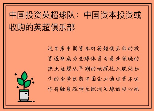 中国投资英超球队：中国资本投资或收购的英超俱乐部