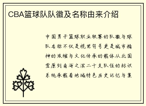 CBA篮球队队徽及名称由来介绍